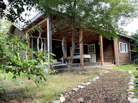 Cozy wooden forest cottage