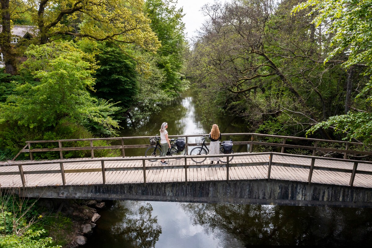 A wooden bridge spans over a serene waterway, bordered by lush trees. Two individuals with bicycles stand on the bridge, overlooking the calm water reflecting greenery. Sunlight filters through the leaves, creating a peaceful outdoor scene.