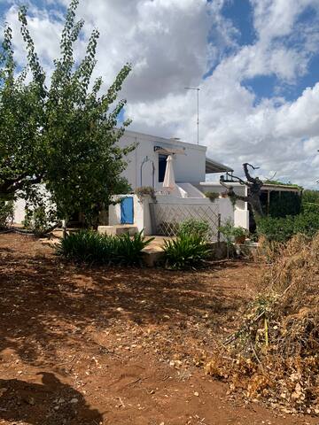 Listing in Polignano A Mare