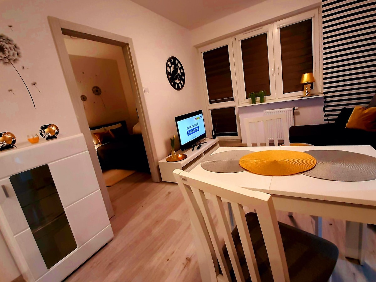 A bright living space features a white dining table set with round placemats. A television is positioned on a low cabinet across from a cozy seating area. Natural light enters through multiple windows adorned with light wood blinds, creating an inviting ambiance.