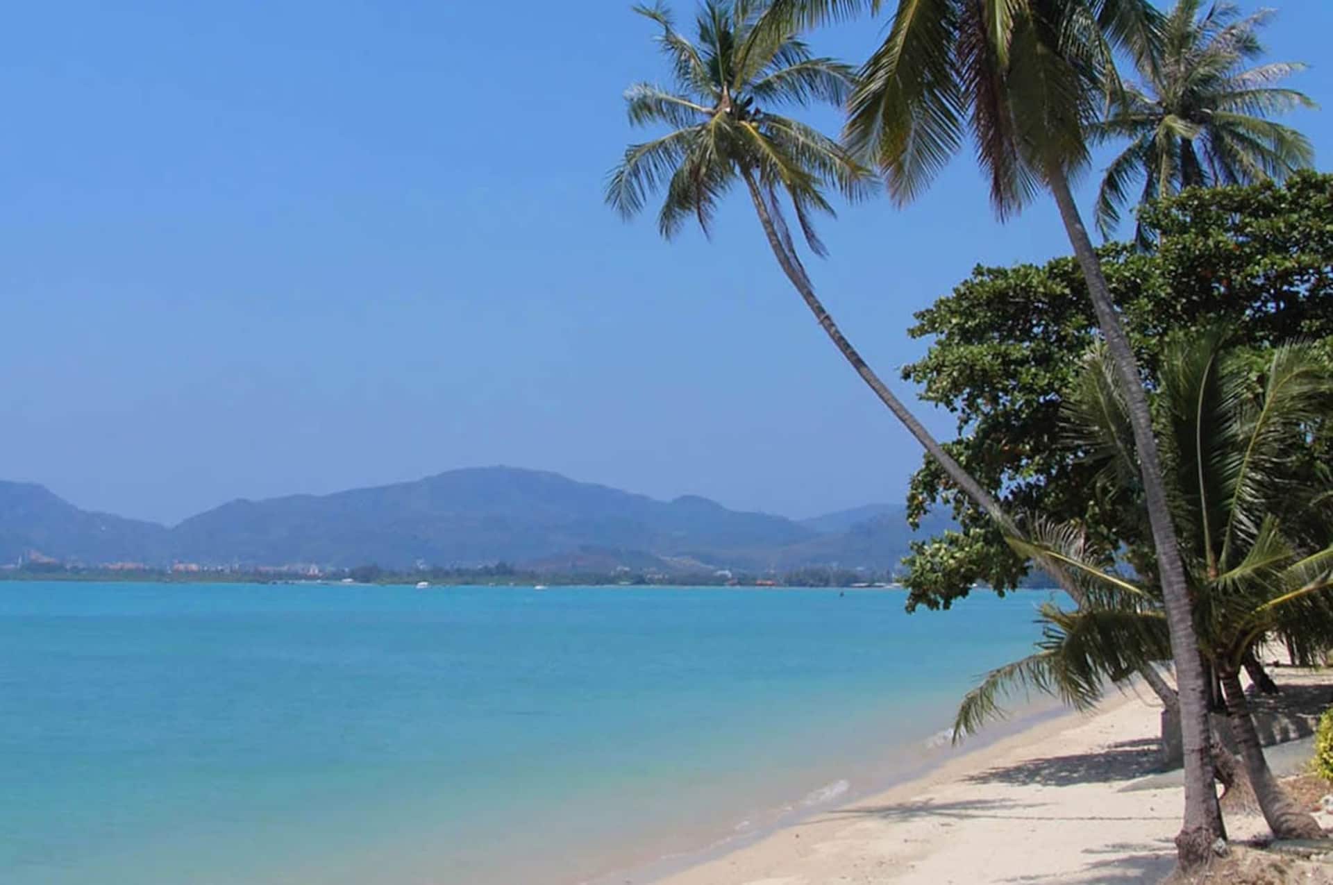 Villa Nirvana - Beachfront Tropical Chic 4BR Haven — foto 2