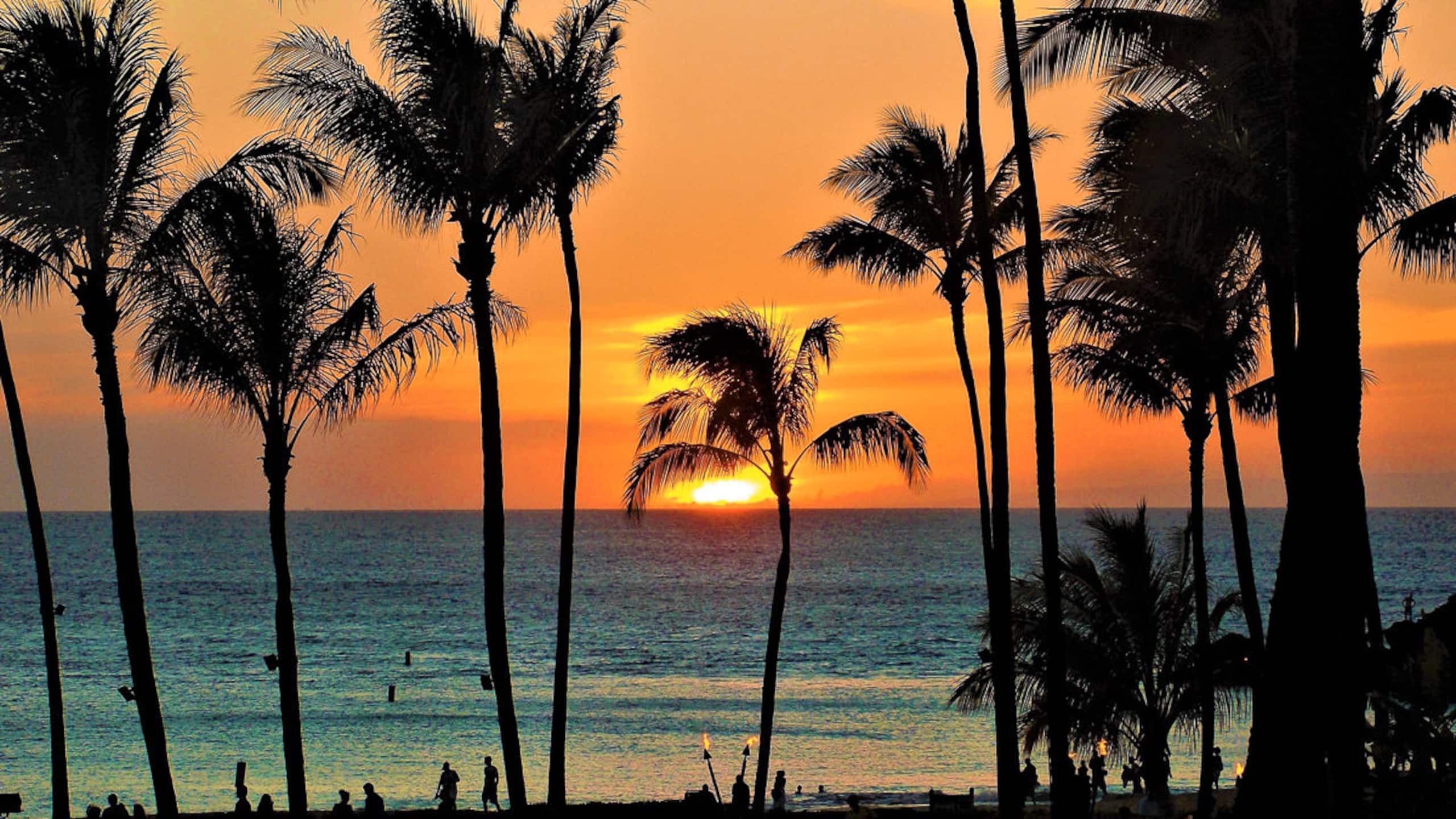 Condo in Honolulu · ★4.93 · 1 bedroom · 1 bed · 1 bath - Image 18