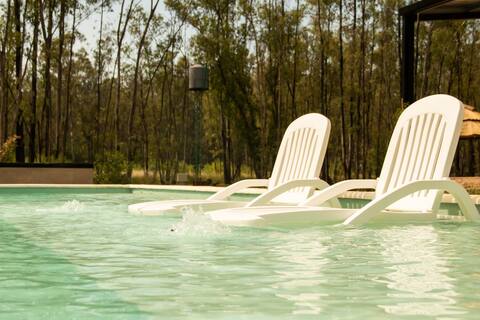 A harmonious place in an enchanted forest.
