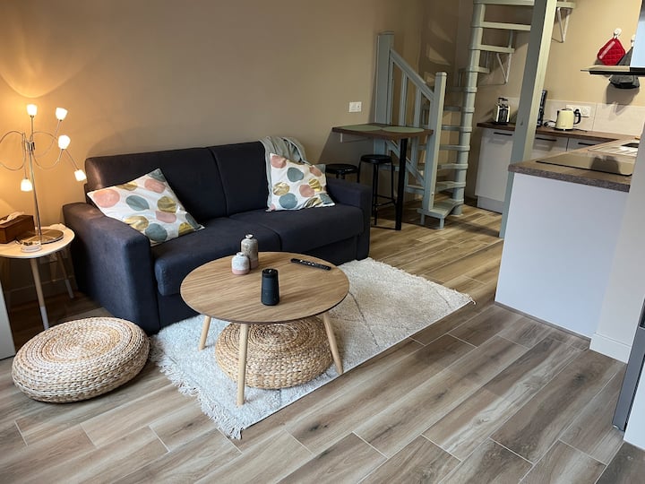 Charming duplex in Fontainebleau Apartments for Rent in Fontainebleau