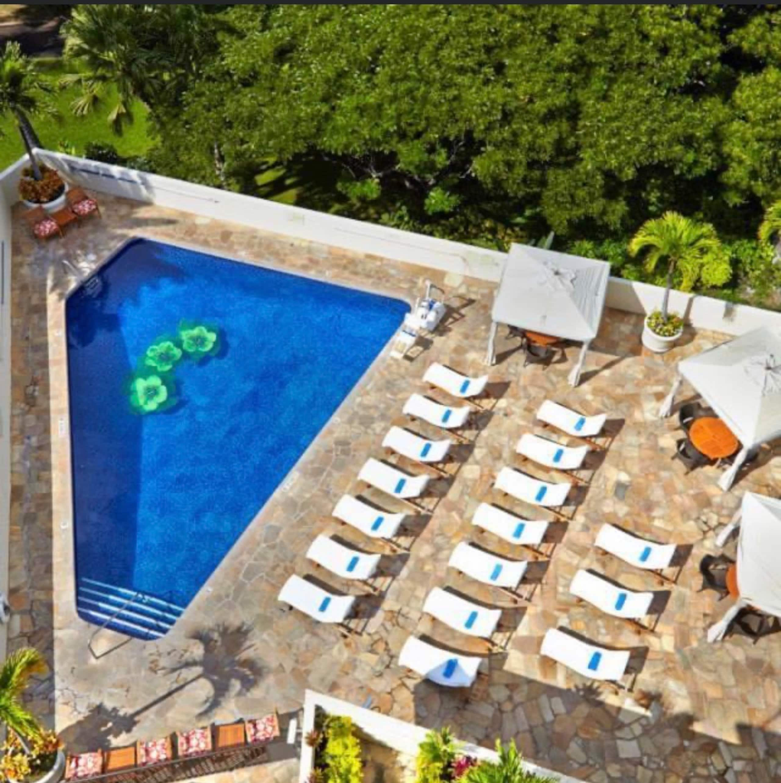 Resort in Honolulu · ★4.97 · Studio · 2 beds · 1 private bath - Image 51