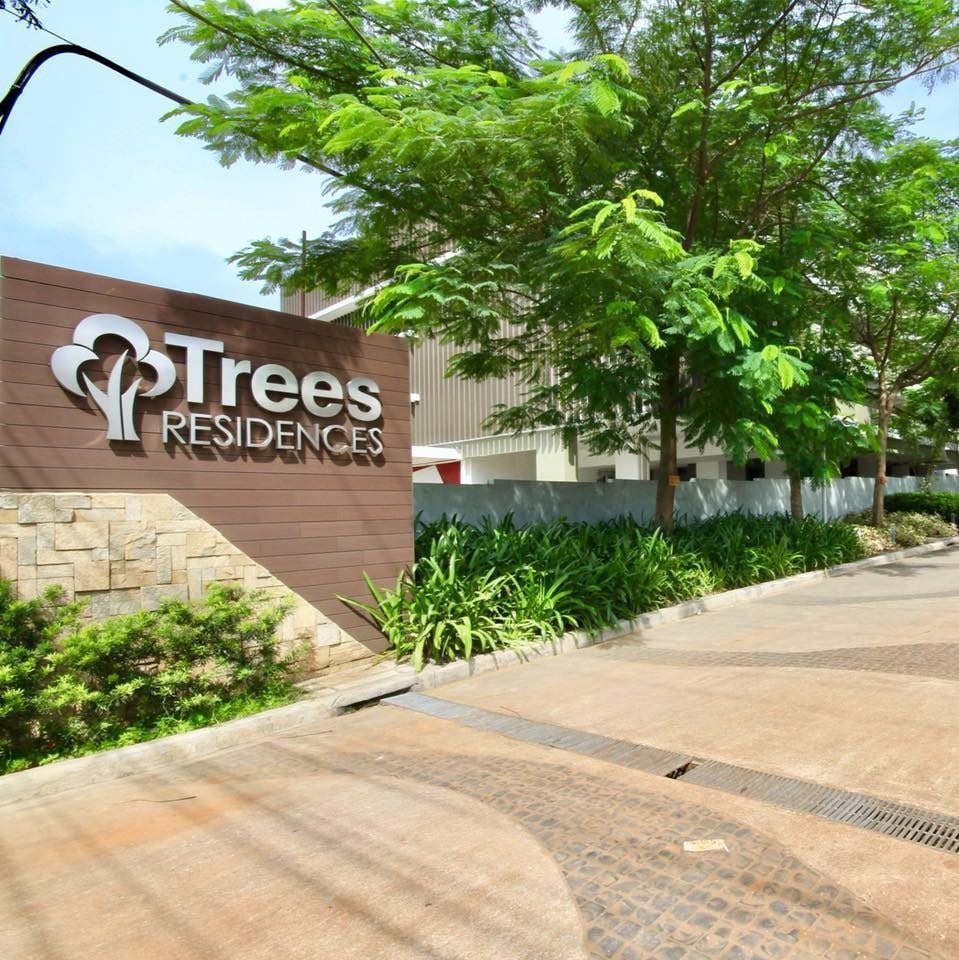 The entrance to Trees Residences is shown, featuring a large wooden sign with the name prominently displayed. Lush greenery surrounds the pathway, creating a natural feel, while the smooth, concrete driveway leads into the complex. Sunlight filters through the trees, enhancing the welcoming environment.