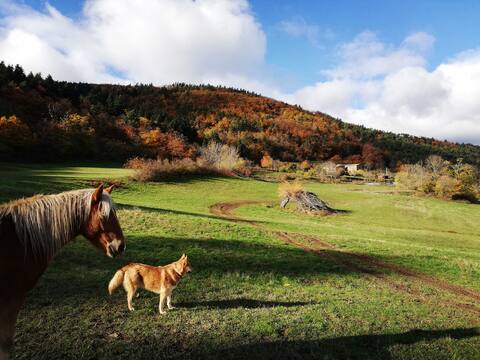 A cosy house in a natural garden - mountain view