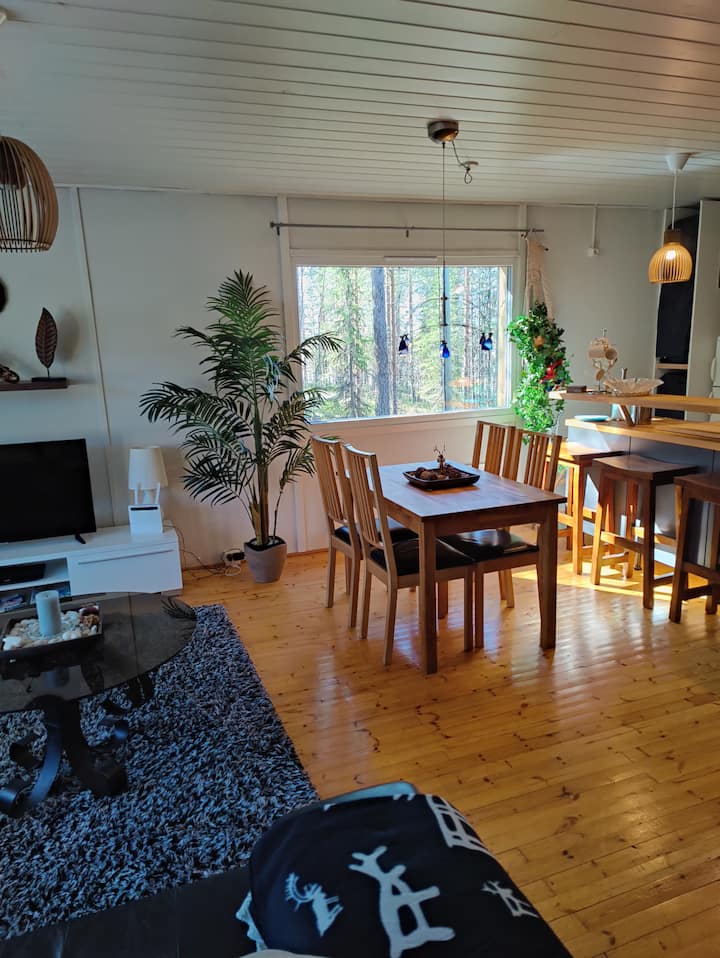 Villa Ylläskoivula / Cottage In Ylläs, Kolari - Finnland