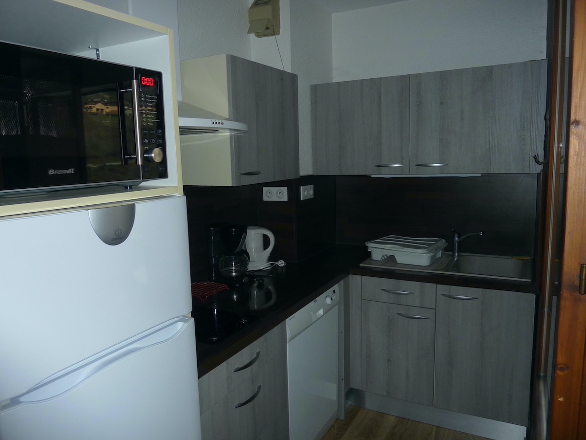 A modern kitchen area is equipped with essential appliances, including a microwave, refrigerator, and dishwasher. The cabinetry features a mix of light and dark finishes. A compact countertop is available for food preparation, complemented by a sink and stovetop.