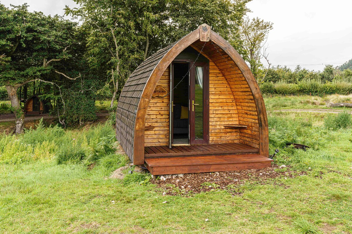 A charming wooden pod is showcased amidst a grassy landscape. Its rounded shape features a sloped, shingled roof and a wooden deck area. A small entryway leads inside, with a simple step accessing the pod. Lush greenery surrounds the structure, contributing to its natural setting.