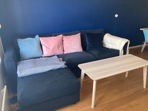Top performing Airbnb: The Pearl of the Storgate, Storgatas Perle. in Lillehammer