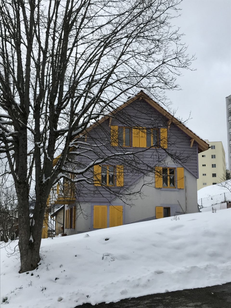 The exterior of a charming house is seen, featuring a combination of light purple walls and striking yellow shutters. The structure is surrounded by snow, with a tree partially visible in the foreground, providing a serene winter landscape.