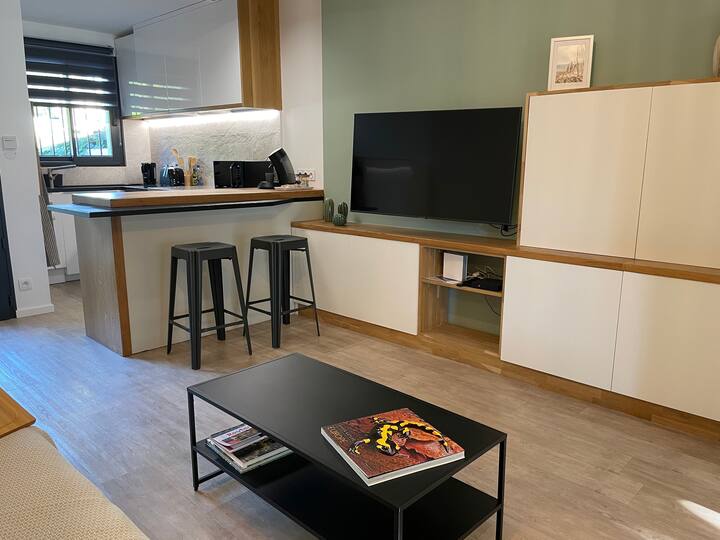 Top 10 LongTerm Rentals In Montpellier, France Updated 2024 Trip101