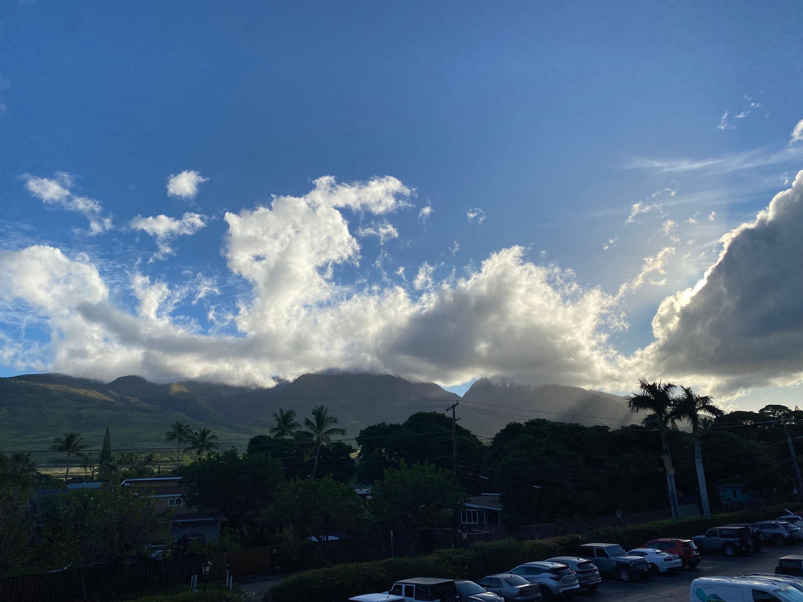 Condo in Lahaina · ★4.98 · Studio · 1 bed · 1 private bath - Image 22