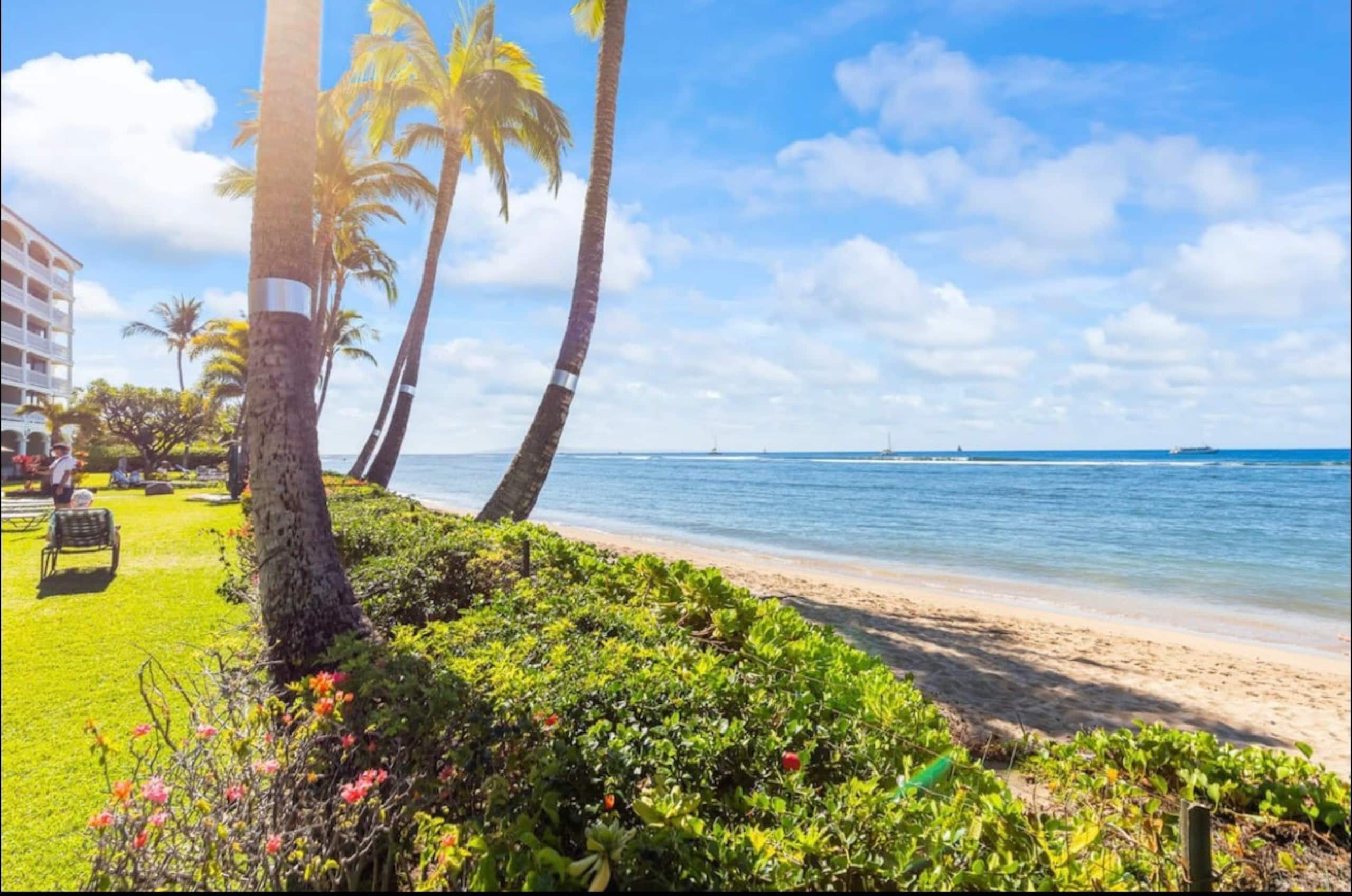 Condo in Lahaina · ★4.98 · Studio · 1 bed · 1 private bath - Image 13
