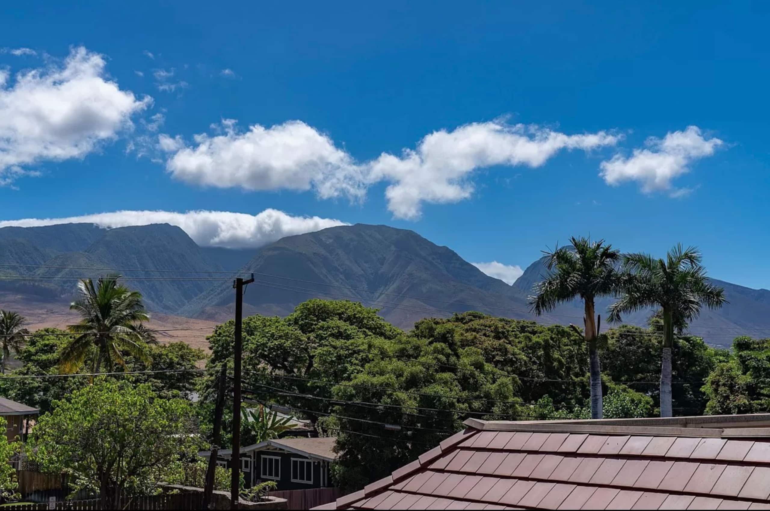 Condo in Lahaina · ★4.98 · Studio · 1 bed · 1 private bath - Image 23