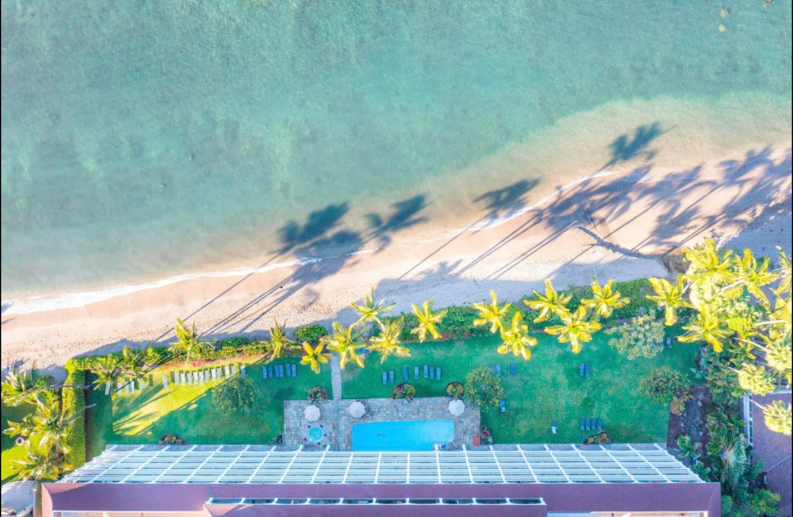 Condo in Lahaina · ★4.98 · Studio · 1 bed · 1 private bath - Image 1