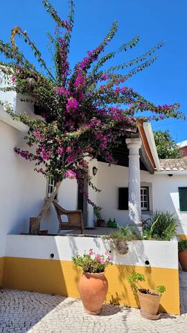 Casa do Patio – Magnifique quinta 5 ch.+piscine gallery image 5