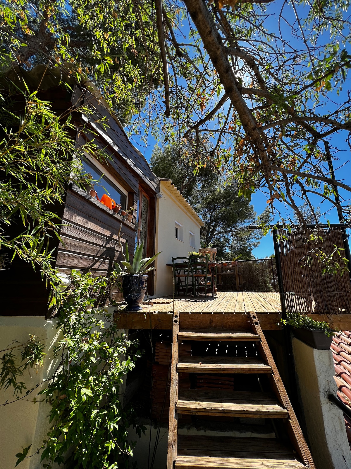 A wooden staircase leads to a private terrace surrounded by trees, offering ample space for outdoor dining. The home features large windows that allow natural light to enter. Potted plants enhance the area's charm, contributing to a peaceful atmosphere.