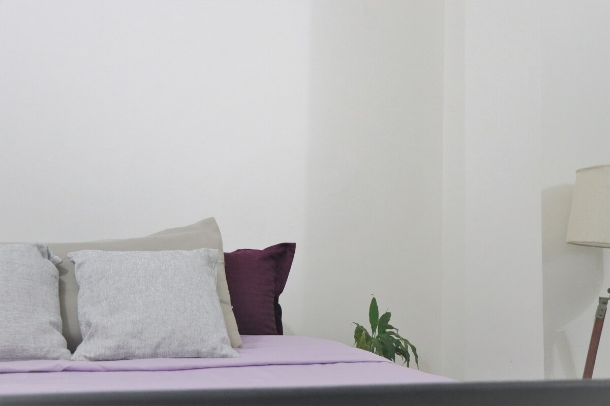 The room features a spacious bed with soft bedding, complemented by decorative pillows in shades of grey and purple. A small plant is positioned next to a lamp, adding a touch of greenery to the neutral-toned decor.