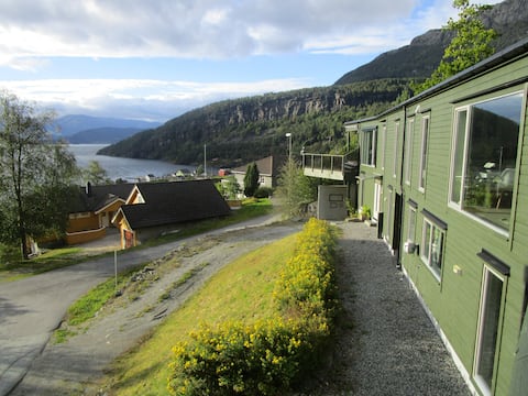 Spacious modern apartment with sea view
