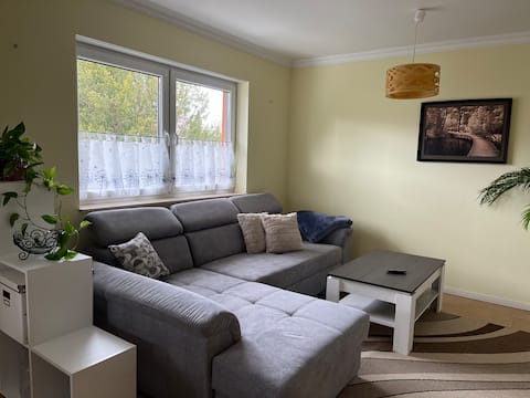 Comfy & Cozy Apartment