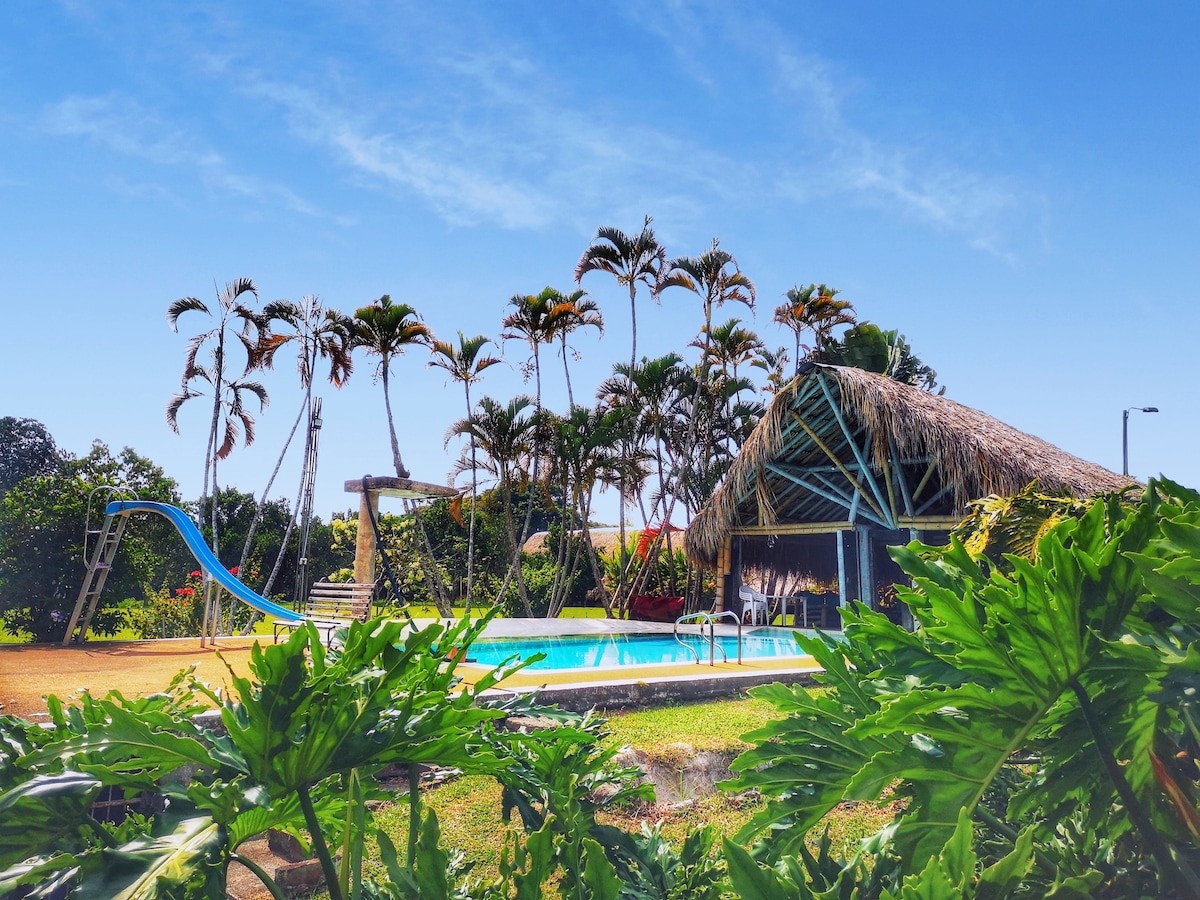 A spacious outdoor area features a swimming pool surrounded by lush greenery and tall palm trees. A thatched-roof structure is visible nearby, along with a tall water slide and a swing set, creating an inviting space for relaxation and play.