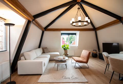 Successful Airbnb property: ApartHotel De Koning by Urban Home Stay in Binnenstad West