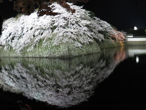 The closest inn to Hikone Castle. 1 min walk to sightseeing spots. A superb view of the cherry bloss