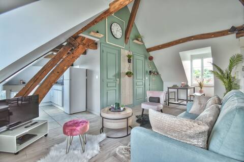 Beautiful downtown apartment