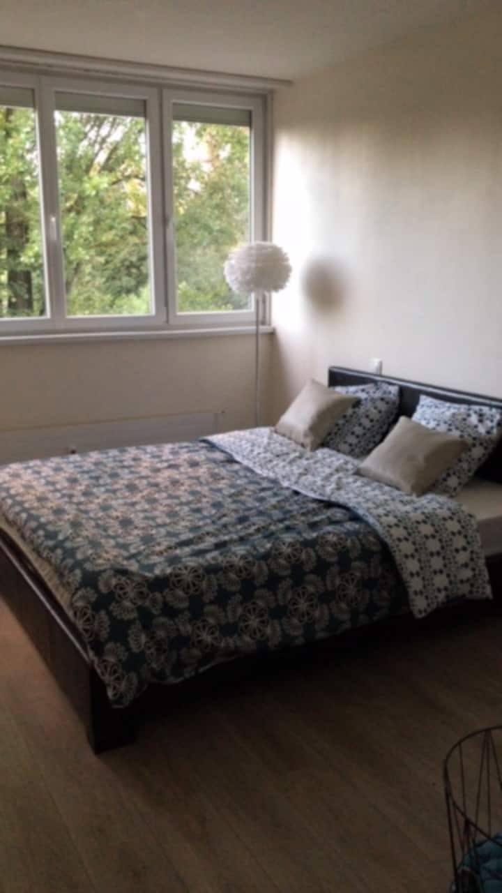 Спалня 1 двойно легло не се пренебрегва с електрическа щора и изглед към зеленина . Осигурена е кърпа 