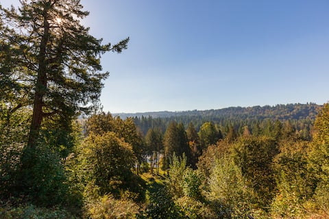 Dreamy cabin on the Clackamas River