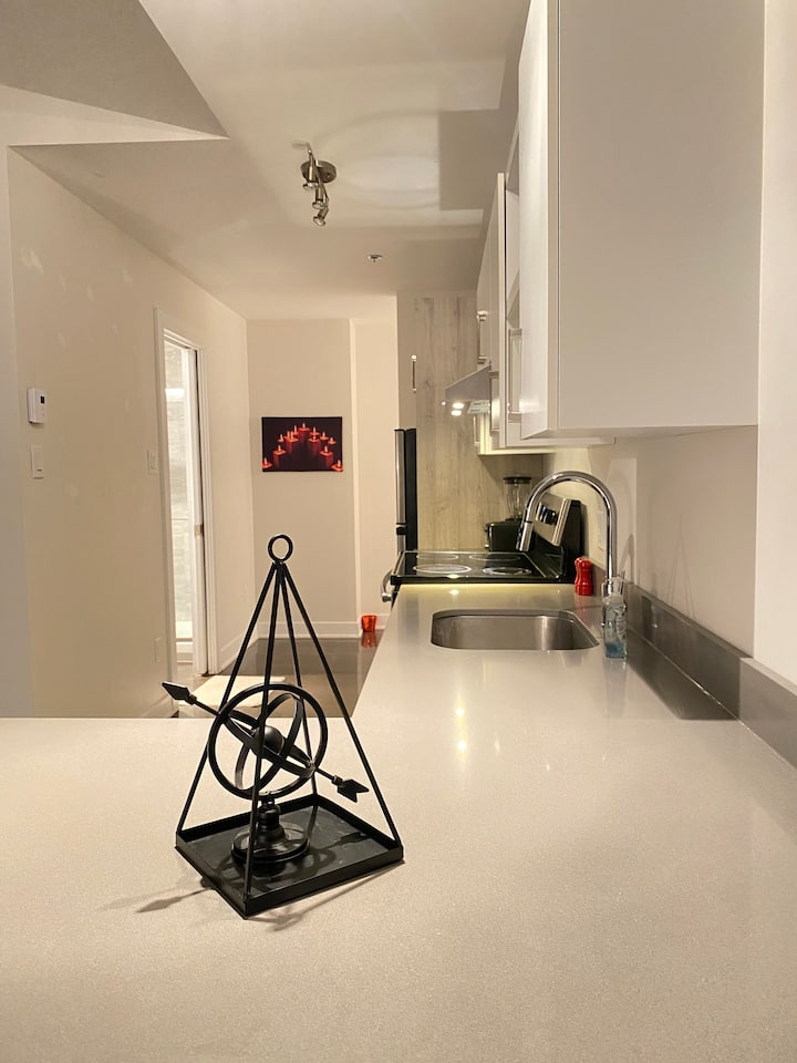 “The View” Downtown Apartment Condominiums for Rent in Montreal