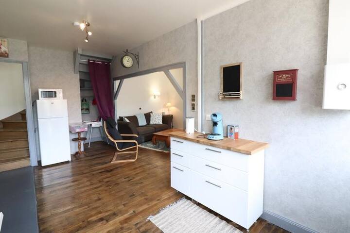 La Maison D'hélène Avec Spa - Salers