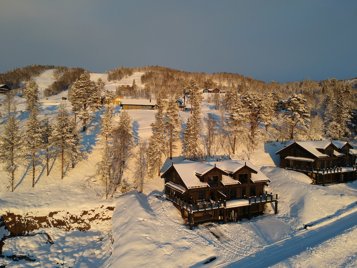 A modern cabin is situated in a snowy landscape, surrounded by trees dusted with snow. The building features a spacious deck and is positioned with ski slopes in the background. Soft sunlight casts a warm glow over the entire scene, highlighting the winter setting.