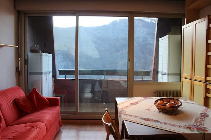 Il Bosco Incantato
Appartamento Con Vista - Frabosa Soprana