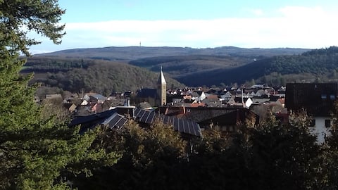 Pure nature right by the forest - country house near Frankfurt