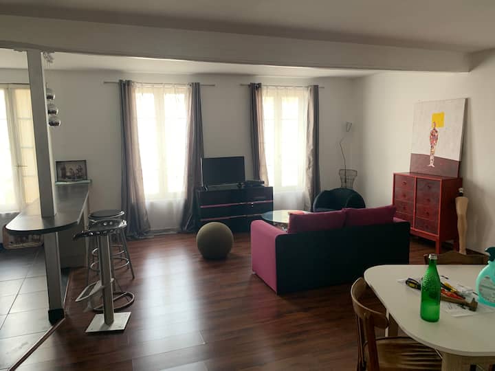 Bel Appartement éQuipé Centre Ville - Marais poitevin