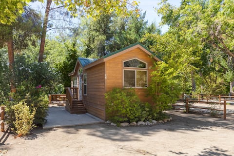 Quiet little pet friendly cabin (Cabin 20)