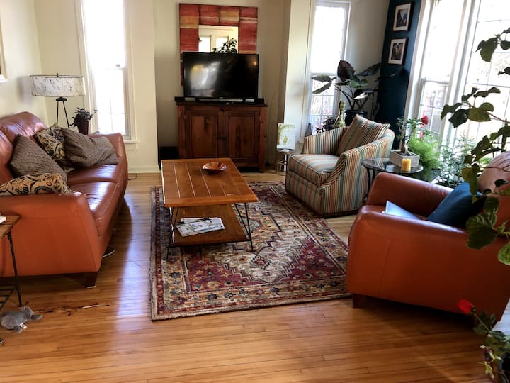 Historic Mpls. Home Walking Distance To Lakes - Minneapolis−Saint Paul Airport (MSP)