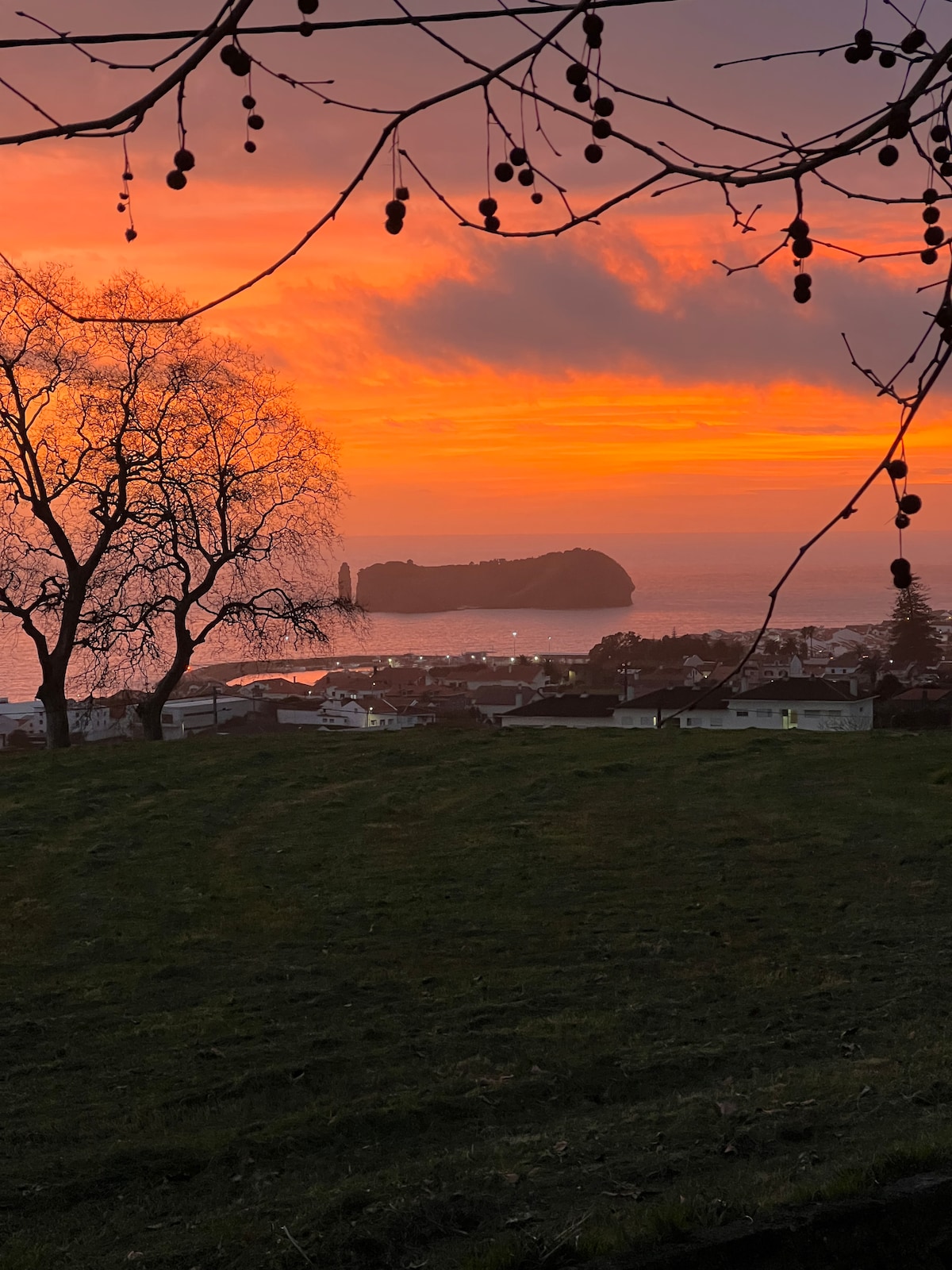 A serene view of a vibrant sunset casts warm hues over the landscape, highlighting the silhouette of a prominent island in the distance. The foreground includes gently rolling grass, framed by the branches of a tree, creating a peaceful and tranquil setting.