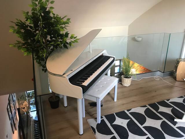 The Friary Temple Bar Penthouse Loft w/Roof Garden gallery image 5