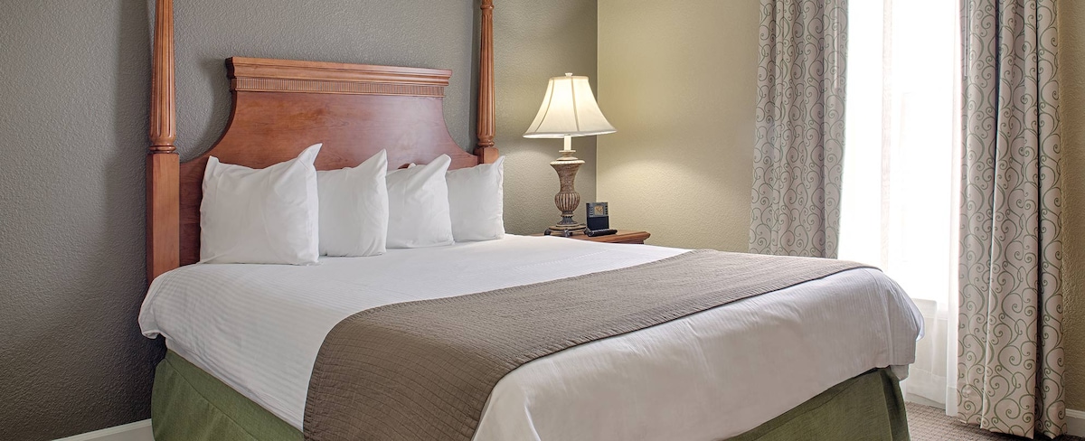 A spacious sleeping area features a king bed with a white comforter and decorative brown and green accents. Two pillows rest against a wooden headboard, while a bedside lamp provides soft illumination. Curtains frame a window, allowing natural light to brighten the room.