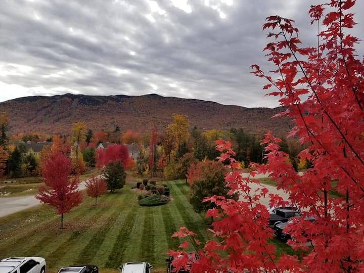 Cozy mountain retreat 3 bedroom, 2 full bath Condo Townhouses for