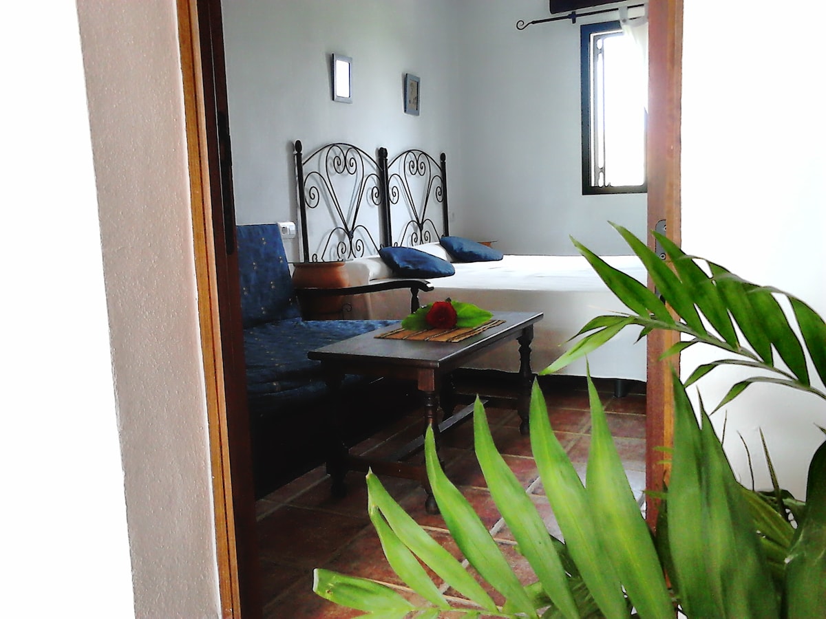 An inviting view into a cozy studio room is framed by a wooden door. A comfortable sofa sits alongside a small table, and a bed is visible in the background. Natural light enters through a nearby window, with greenery subtly enhancing the space.