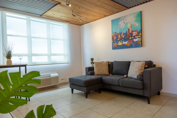 Amazing Oceanview Two Bedroom/free Parking - San Juan