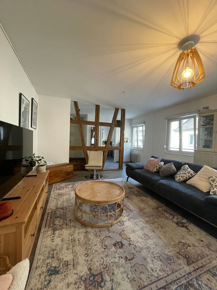 Cozy and spacious Strasbourg city center - Flats for Rent in Strasbourg,  Grand Est, France - Airbnb