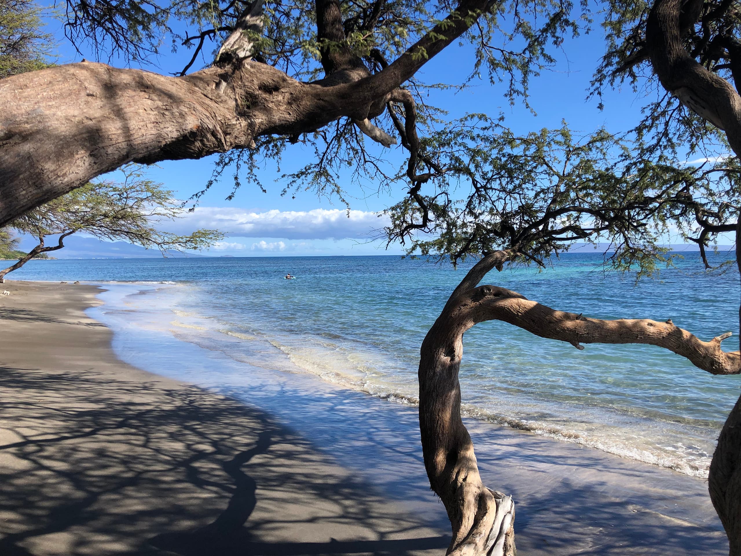 Condo in Lahaina · ★4.98 · Studio · 1 bed · 1 private bath - Image 42