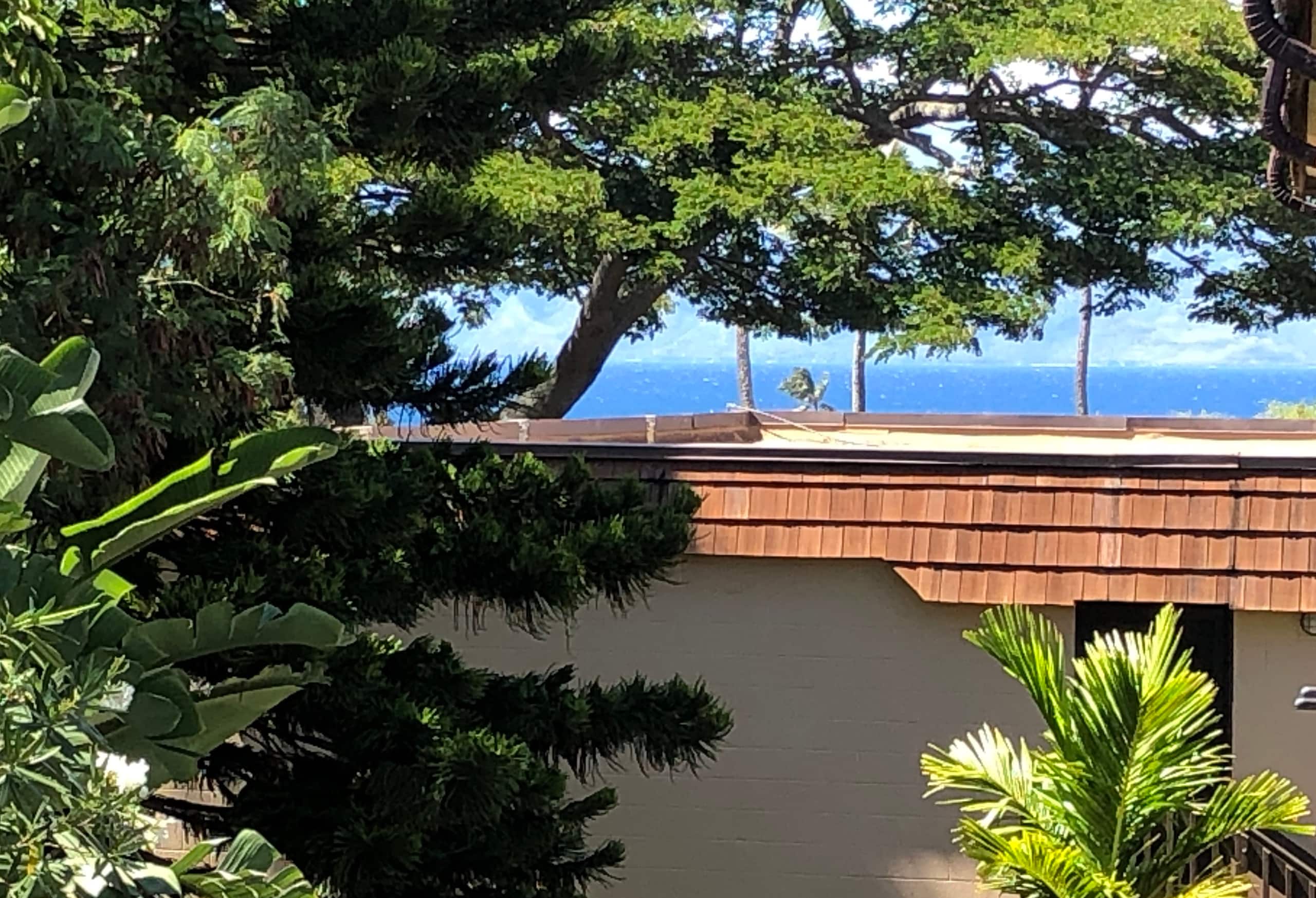 Condo in Lahaina · ★4.98 · Studio · 1 bed · 1 private bath - Image 21