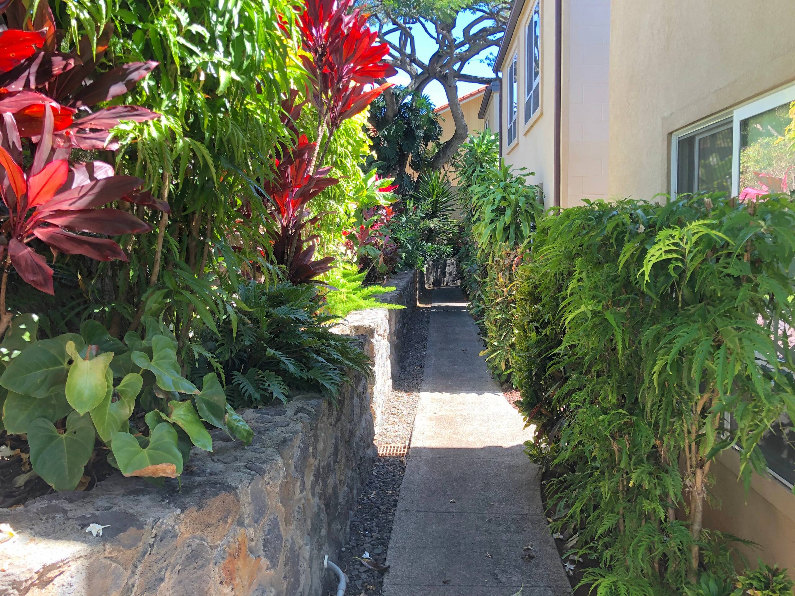 Condo in Lahaina · ★4.98 · Studio · 1 bed · 1 private bath - Image 39